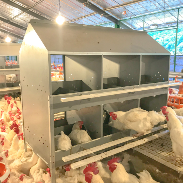 Poultry Equipment Systems