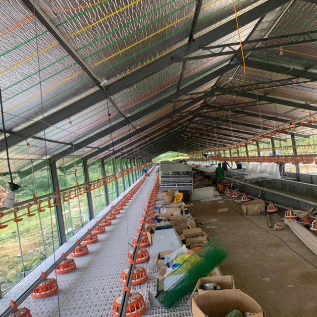 Poultry House Renovation